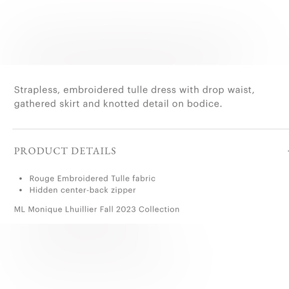 Monique Lhuillier Embroided Strapless Gown - Picture 8 of 14